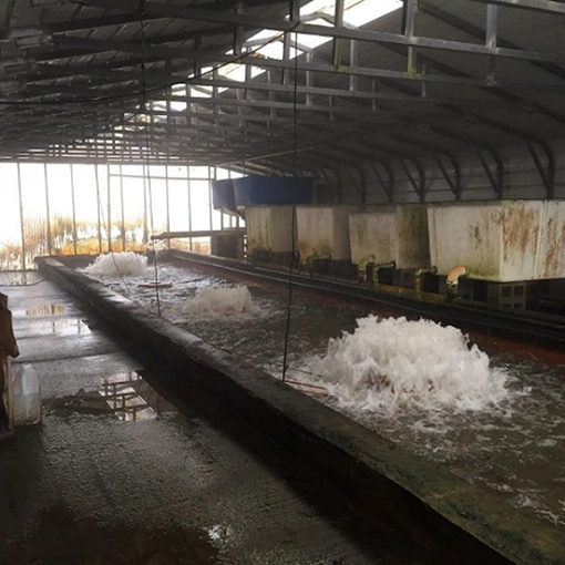 Green Global Technologies - Kasco Marine, Inc. (Aireador)